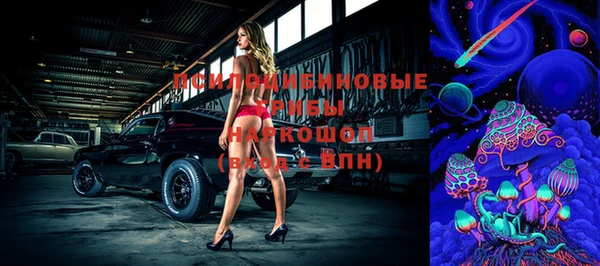 тгк Зеленодольск