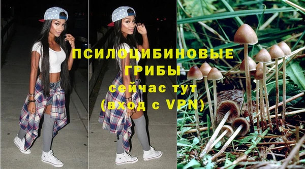 тгк Зеленодольск