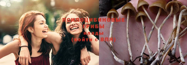 мяу мяу мука Зерноград