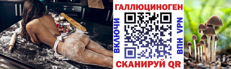 Купить  Гаджиево  Галлюциногенные грибы Psilocybine cubensis 